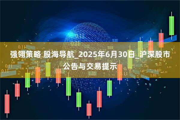 强翎策略 股海导航_2025年6月30日_沪深股市公告与交易提示