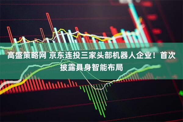 高盛策略网 京东连投三家头部机器人企业！首次披露具身智能布局