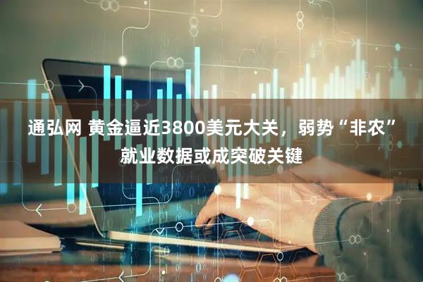 通弘网 黄金逼近3800美元大关，弱势“非农”就业数据或成突破关键