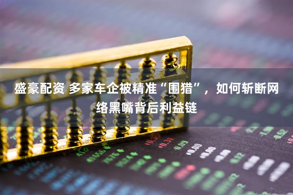 盛豪配资 多家车企被精准“围猎”，如何斩断网络黑嘴背后利益链