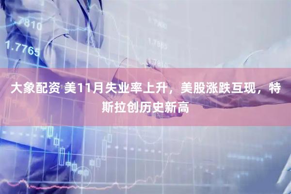 大象配资 美11月失业率上升，美股涨跌互现，特斯拉创历史新高