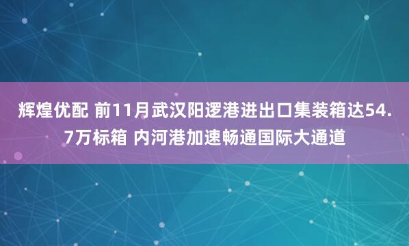 辉煌优配 前11月武汉阳逻港进出口集装箱达54.7万标箱 内河港加速畅通国际大通道