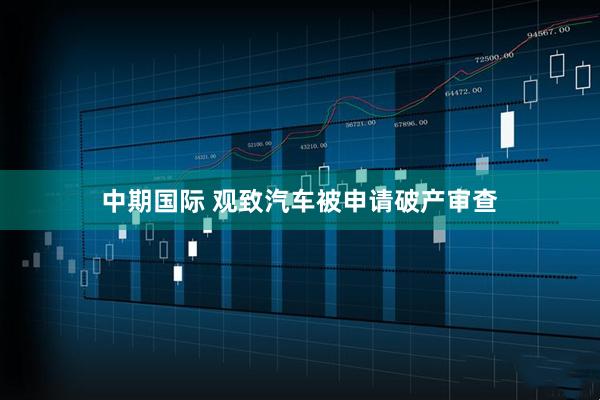 中期国际 观致汽车被申请破产审查