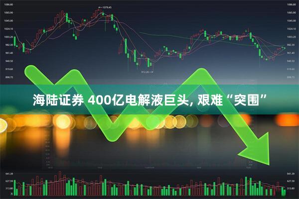 海陆证券 400亿电解液巨头, 艰难“突围”