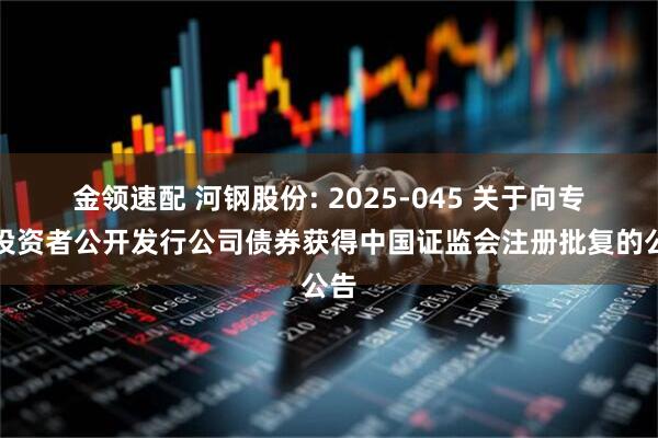 金领速配 河钢股份: 2025-045 关于向专业投资者公开发行公司债券获得中国证监会注册批复的公告